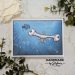 Hammerhead shark by Carla Creatief